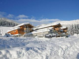 Alpin-Chalet Flachauwinkl - 2