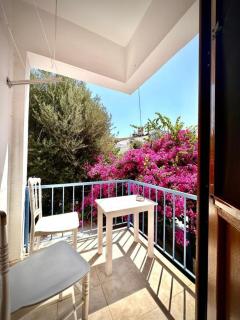 Thetis Pansiyon - 5