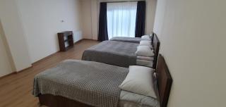 Elnetsa Inn Kazbegi - 8