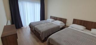 Elnetsa Inn Kazbegi - Kazbegi - 5