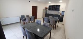 Elnetsa Inn Kazbegi - 4