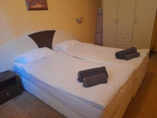 Снежна приказка Пампорово в хотел Mountain Lodge ап 29 - Pamporovo - 5