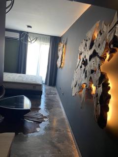 Deluxe Studio A1 - Sofia - 7