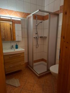 Appartements Baumanngut - Wagrain - 9