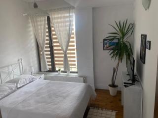 Lovely Apartment in Villa in Bucharest - Bucharest - 8