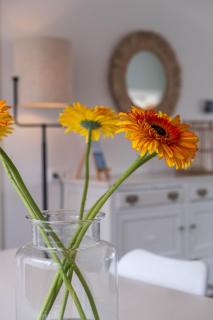 Vakantie huis Admiraal - Egmond aan Zee - 7
