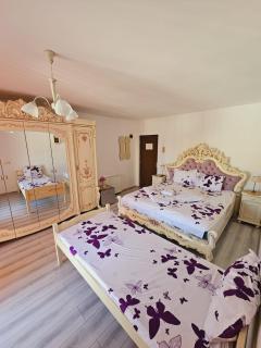 Aliando - Sighişoara - 2