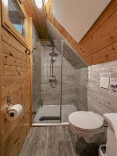 APARTMA-SPA NATURA - Sveti Jurij ob Ščavnici - 1