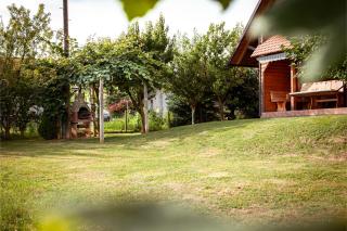 APARTMA-SPA NATURA - Sveti Jurij ob Ščavnici - 8