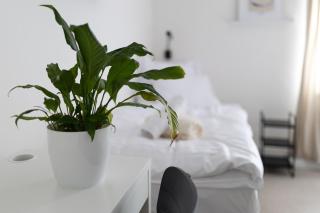 Hotel Sport Houštka - 1