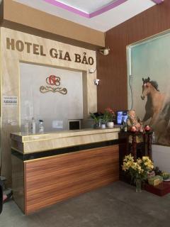 OYO 1165 Gia Bao Hotel - Ho Chi Minh - 6