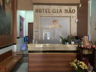 OYO 1165 Gia Bao Hotel - Ho Chi Minh - 5