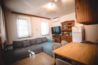 POČITNIŠKI APARTMAJI - Sunny apartment in Moravske Toplice - 4