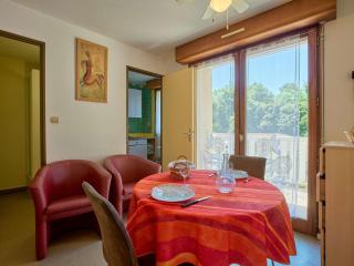 Charmant T1 avec balcon et animaux acceptés - FR-1-841-50 - Barbotan-les-Thermes - 0