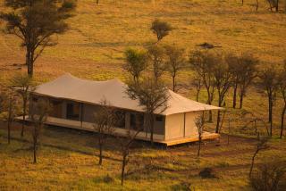 Wildlux Serengeti Camp - Serengeti - 8