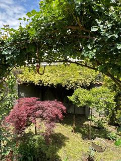 Kakheti Telavi - 9