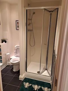 Beautiful and Modern 2 Bed Flat in Greater London - 7