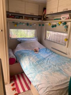 Gardencaravan near Ghent in green area - 4