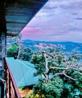 The Boho Shimla - 7