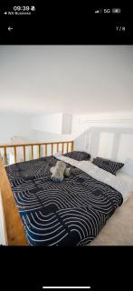 Appartement Acote de paris ou Disney - 3
