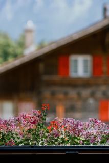 Mountain View near Brienz - free parking - 3