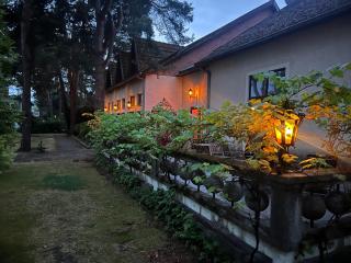 Vito - Kaunas - 7