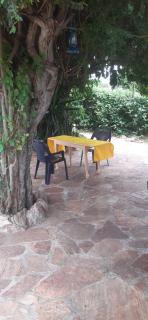Rhino hillside - Sekenani - 1