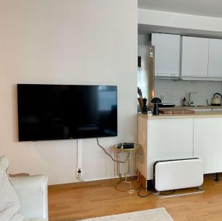 Central Apartment by Bryggen and Local Cafe - 7