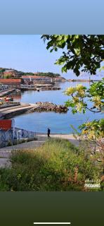 Villa Beba - Apartments - Senj (Segna) - 3