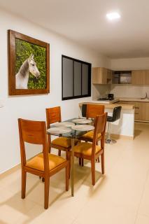 Hermoso Apartamento Amoblado - Aguadas - 0