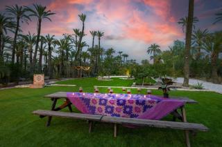 Historical Palms Villa by Fidalsa - Elche - 6