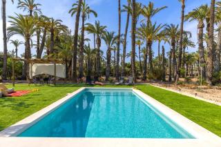 Historical Palms Villa by Fidalsa - Elche - 1