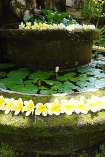 Mandala Bungalows - Ubud - 8