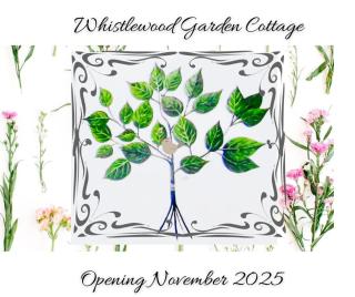Whistlewood Guesthouse Walmer, Port Eizabeth - 8