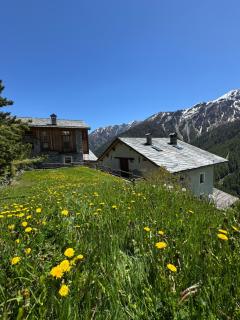 La Thuilettaz Maison de Montagne - Saint-Rhémy-en-bosses - 6