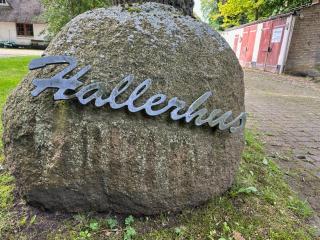 Ferienwohnung im Reetdachhaus Hallerhus - Ahrenviöl - 9