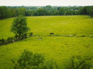 Longford Holiday Blue Sky Self Catering Cottage - - 6