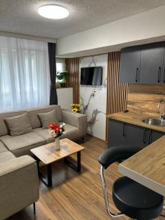 Nest apartments - Pristina - 3