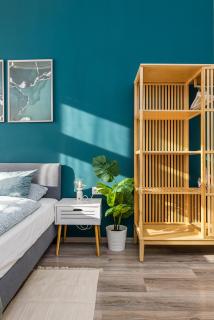 Stylish Green Studio Central Budapest - 9