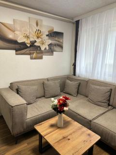 Nest Apartments - City Center - 8