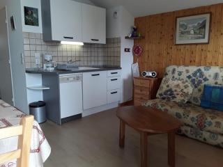 Appartement 2 pièces, 4 pers, proche pistes et commerces - FR-1-733-167 - Crest-Voland - 1