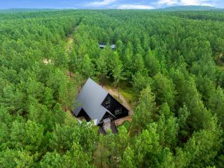 Hoch-A-Frame I Sauna-Hot Tub-Putt Putt-Firepit - 9