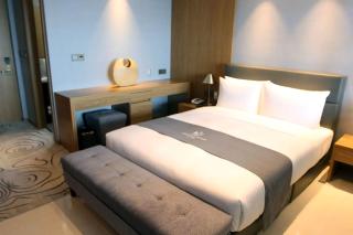 hotel uma - New Delhi - 6