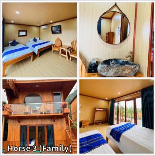 Bac Ha Horse Farmstay - Bắc Hà - 8