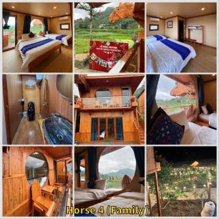 Bac Ha Horse Farmstay - Bắc Hà - 2