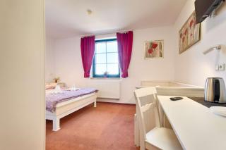 Penzion Šmolovy 238 - Šmolovy - 8