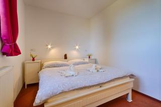 Penzion Šmolovy 238 - Šmolovy - 5