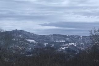 Crestview 261 - Sugar Mountain - 1