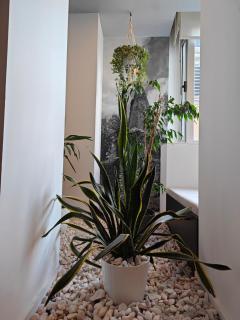 Big stylish & central 2br - 2