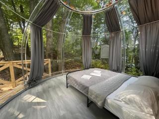 Studio Capsule House in Parry Sound #31 - Parry Sound - 5